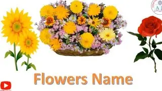 Flowers Name in English | flowers name with pictures | flowers name with spelling