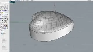 Rhino Tips and Tricks. How to make a Dome Heart with Patch Command