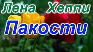 Лена Хеппи. С прицелом шантажа.
