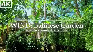 Healing Garden: Rustling Leaves Sounds to CALM Your Racing Mind