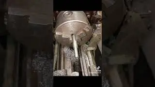 Навіси для ворот дверей клітки