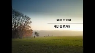 Fotografie im Wald (Waldfotografie) - Gegen die Zeit