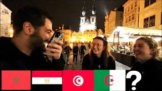 سالت الاجانب من يصعد لكاس العالم مصر الجزائر تونس المغرب|اجابات صادمة