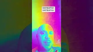 капібаран by Roman L #ukraine #українськамузика #реп #techno #punk #capybara #капібара
