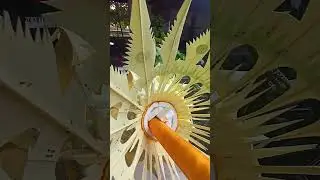 Persiapan Kantor DPD RI Provinsi Bali dalam rangka menyambut Hari Raya Suci Galungan #dpdri