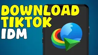 How To Download Video From Tiktok Without Watermark With IDM (2025)