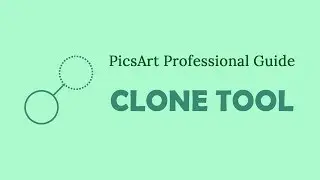 PicsArt Professional Guide | How to use Clone Stamp Tool like professional by using PicsArt