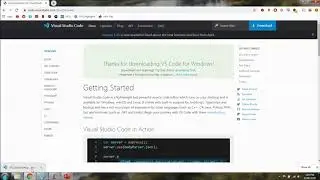 VSCode Setup for Developer