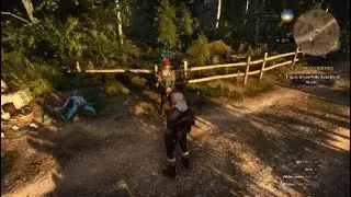 The Witcher 3 Herbalist Location