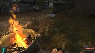 S.T.A.L.K.E.R.: Тень Чернобыля (ч.22)