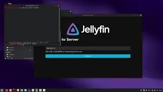 How to Install Jellyfin on Linux Mint (Not scripted + Advises for Other Distros)