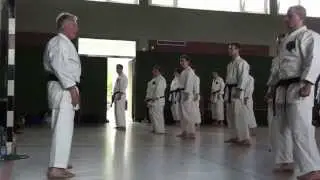 Sensei Denis Casey (8th Dan) teaching Seipai Kata & Bunkai
