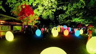 Kyoto at Night [Part 1] Shimogamo Jinja 【4K】