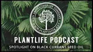 Spotlight On Black Currant Seed Oil - Plantlife Podcast #59