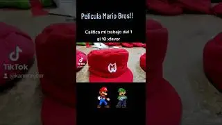 Mario bros Gorro / Película de Mario Bros