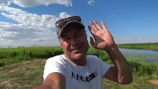Раздача крупных карасей на крестах часть вторая (Павлодарская Область)