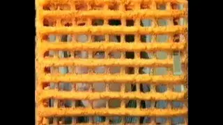 1993 Shreddies Zeddies Advert