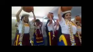 Un Güiro y el Organo