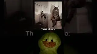 explain in the comments