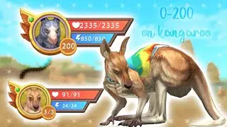 WildCraft: From 0 to 200 • Kangaroo 🦘 •