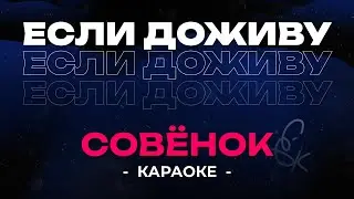 Совёнок - Если доживу (Караоке)