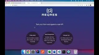 Install PactumJS And Write First Test Case
