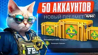ОТКРЫЛ ПО 1 КЕЙСУ НА 50 АККАУНТАХ С ПРАЙМОМ
