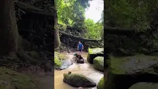 funny 🤣🤣 dog