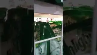 IBU-IBU Mengamuk Nggak terima dipanggil, OMA.