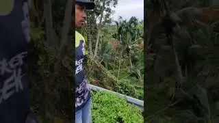 Jalan Elak Kr Mane Buket Rata Longsor