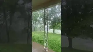 Tornado Watch in Effect - Watching for Cats & Dogs 😂