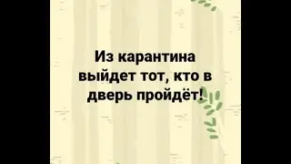 Как пережить карантин? (шуточный клип)