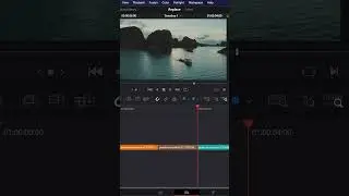 Replace Clip PARTE #01 - A cosa serve e quando utilizzarlo! #shorts #davinciresolve #tipsandtricks