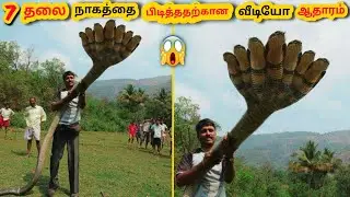 #FiveHeadsnake ஐந்து தலை நாகத்தின் உண்மை கதை |#SevenHeadSnake Cobra in tamil  7Thalai Nagam in Tamil