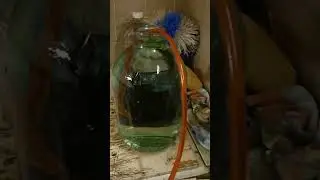 #самогончик 6