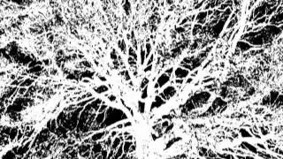 Next Life - Back To The Abyss (official video, 2011)