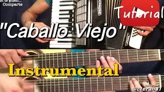 Caballo Viejo - Guitarra y Acordeon Tutorial/Cover