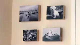 Photo Holder - Bricomanía