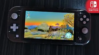 The Legend of Zelda:Tears of the kingdom Nitendo switch light Gameplay 2024