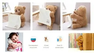 Медведь Пикабу Купить