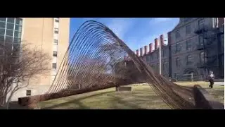 Meghan McCabe '23 & Dara Fitteron '23 discuss Anthony Viscardi's "Rebar," 2007