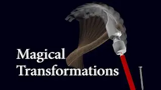 🥴Animated Adventures: 🔨 Magical Transformations and Unexpected Friendships 🪓Collection 27