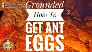 Grounded How To Get Ant Eggs