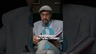 Кога мозъкът постъпва глупаво? Гледайте пълния еп. 7 от #MEDcast - ът на #ДрСтаменов
