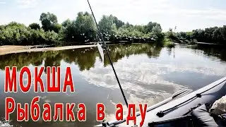 Рыбалка на реке Мокша. Спиннинг. Открытие сезона 2024г.