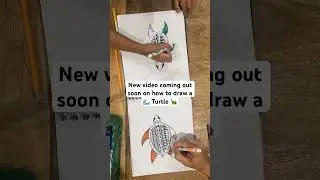 How To Draw A Sea Turtle 🐢 #howto #howtodraw #coloring #turtle #seaturtle #drawingtutorial #fyp #🐢