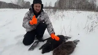 Охота на бобра капканами зимой. Сезон 2021-2022. Семья 