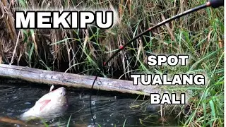 Ujung joran sampai tenggelam||ngeri tarikan ikan babonya||spot tualang bali danau batur