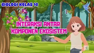 Interaksi Antar Komponen Ekosistem I Biologi Kelas 10 - KHATULISTIWA MENGAJAR