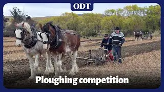 East Otago Ploughing Competition
